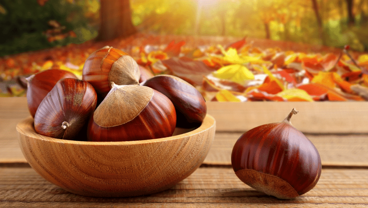 5 bienfaits des marrons qui vous ferons les adopter cet automne !