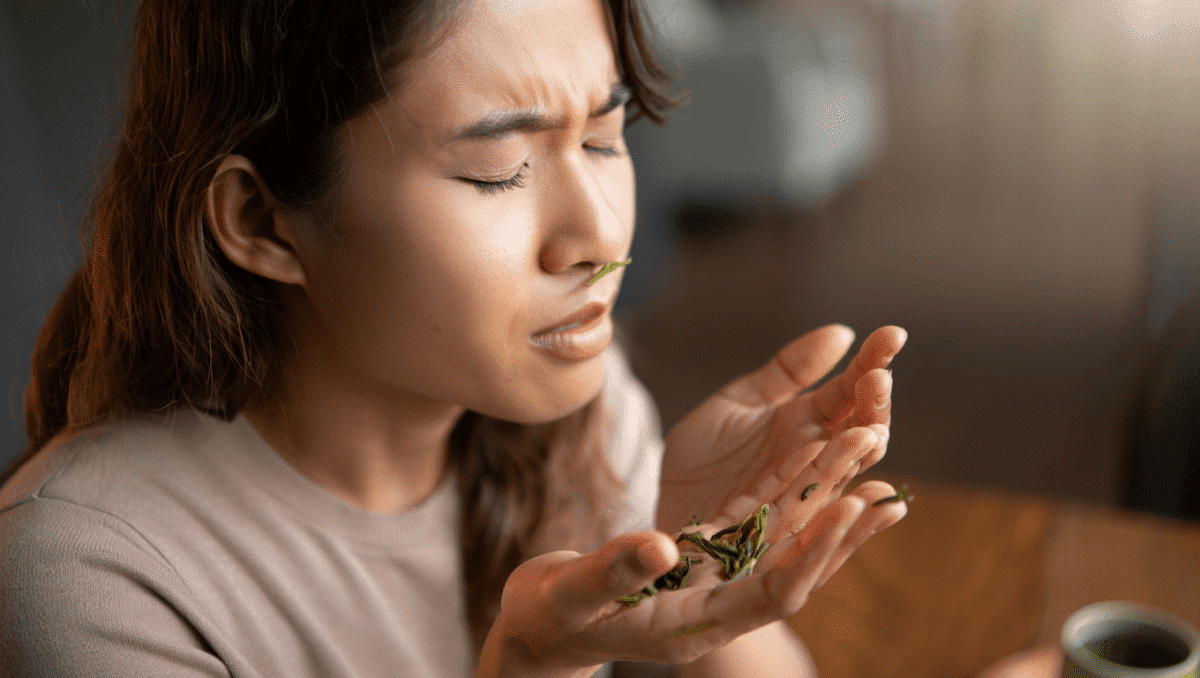 Rhinite allergique : le matcha pourrait-il réduire les éternuements ?