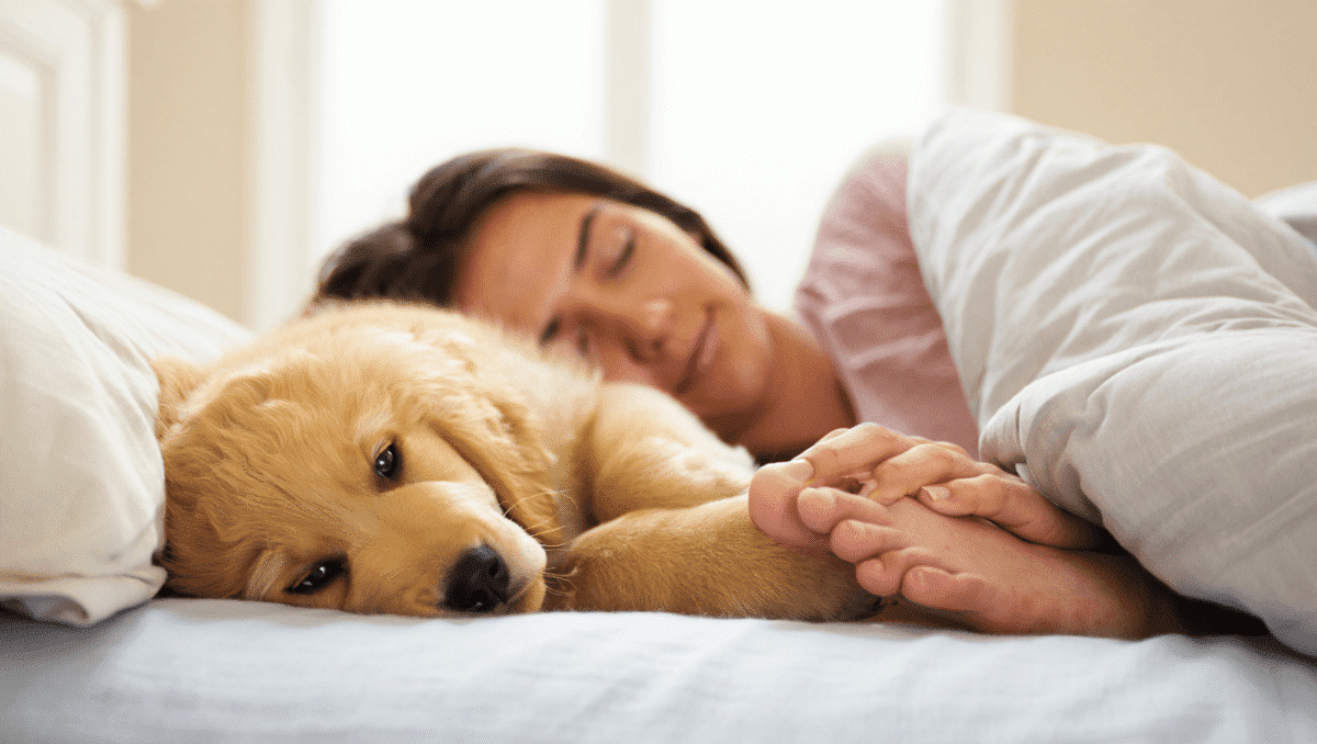 Ronrons, coups de pattes et nuits agitées : faut-il dormir avec son animal de compagnie ?