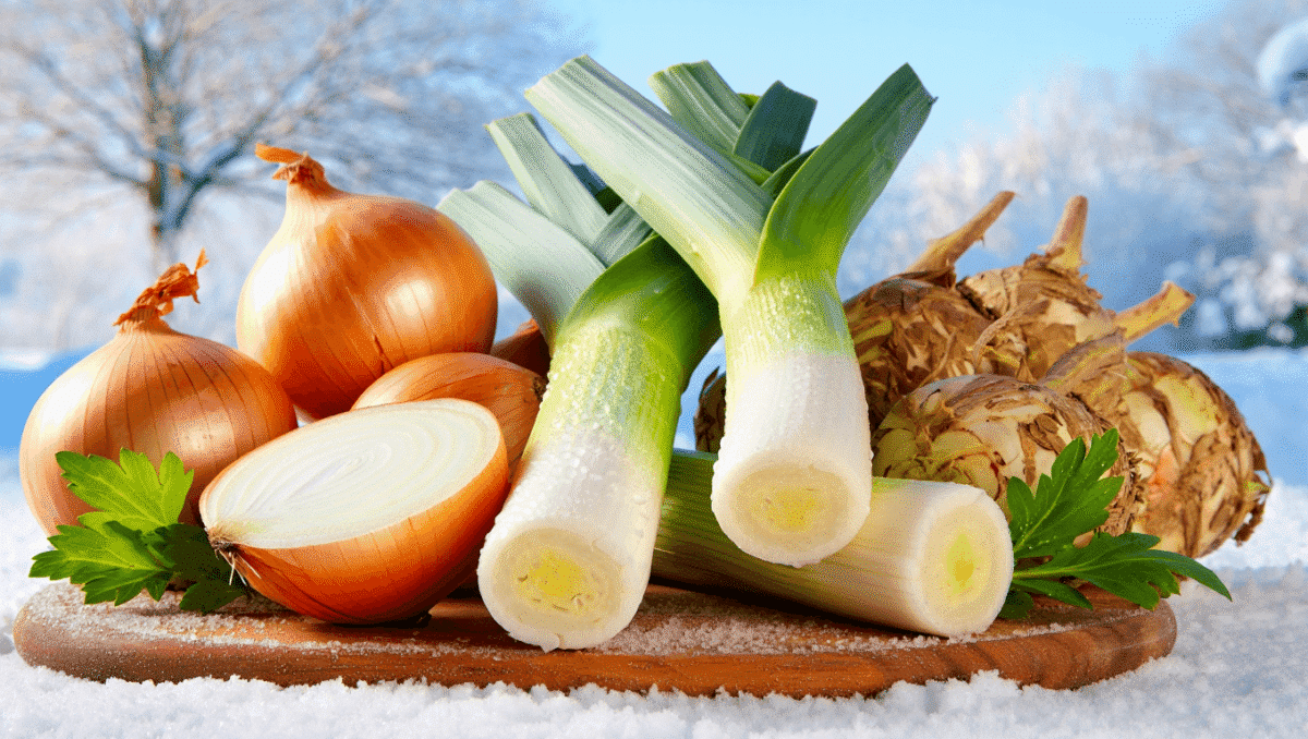Poireau, oignon et céleri : ces légumes d’hiver qui soutiennent l’organisme