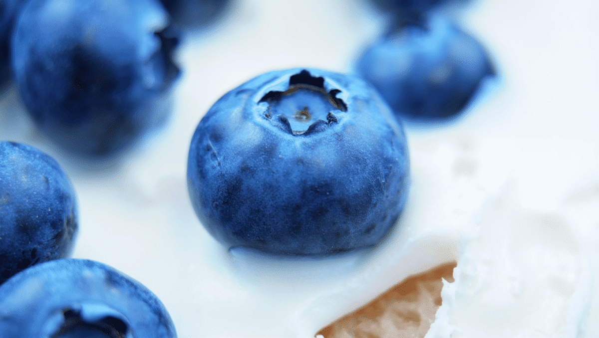 Découvrez les 5 bienfaits des myrtilles pour votre santé !