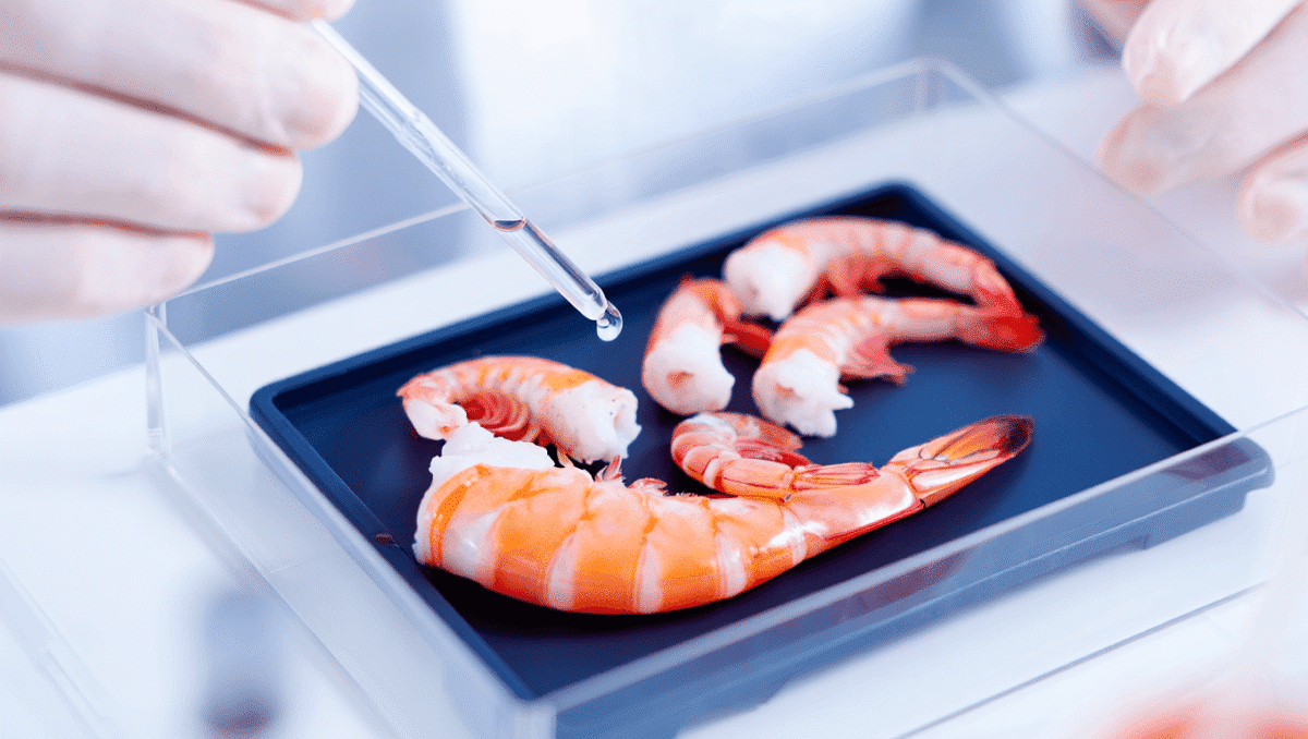 Attention aux fruits de mer crus : ce 'virus des crevettes' attaque
l'œil humain et inquiète les chercheurs