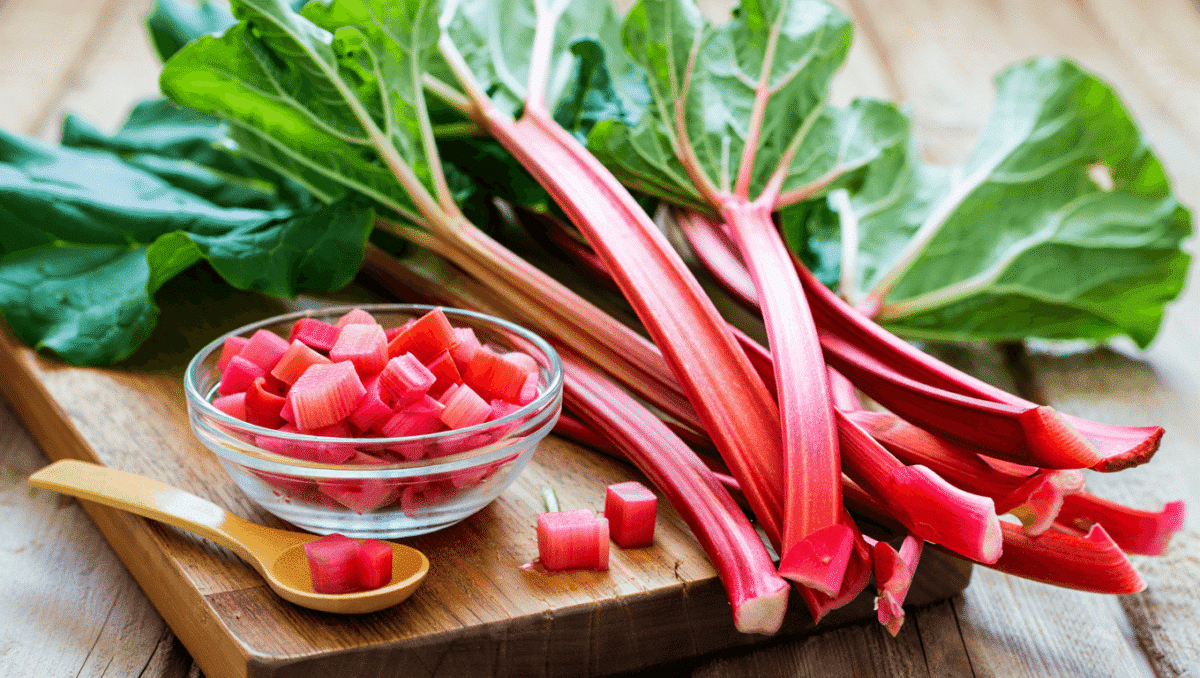 Rhubarbe : 5 raisons santé de manger de la rhubarbe dès ce printemps !