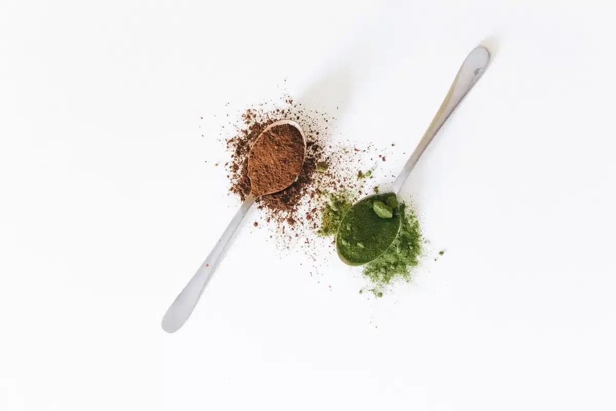 Fruits rouges, th&eacute; vert et cacao : aliments riches en polyph&eacute;nols antioxydants