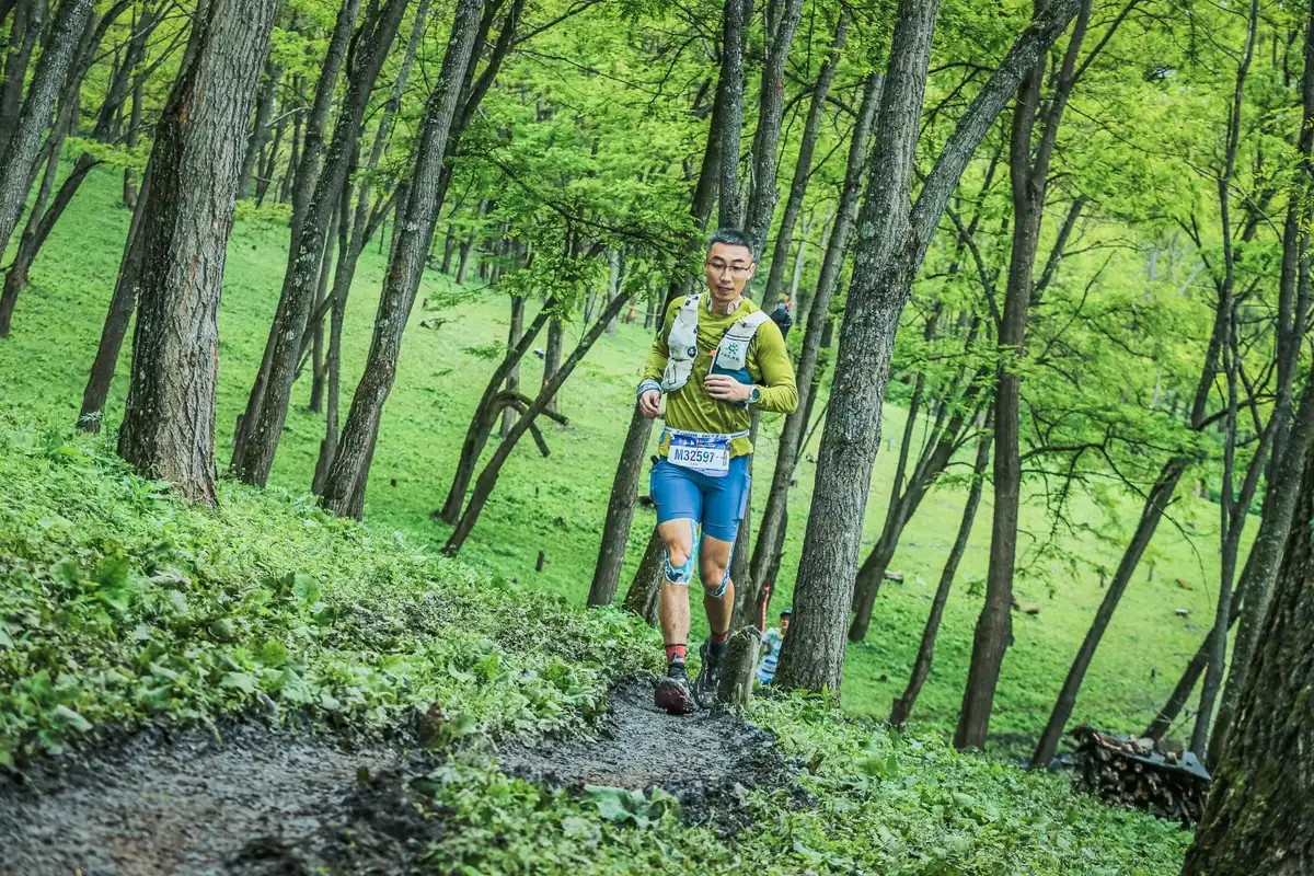 Équipement de sport d'été sur un sentier forestier ombragé avec chaussures de course et gourde d'eau.