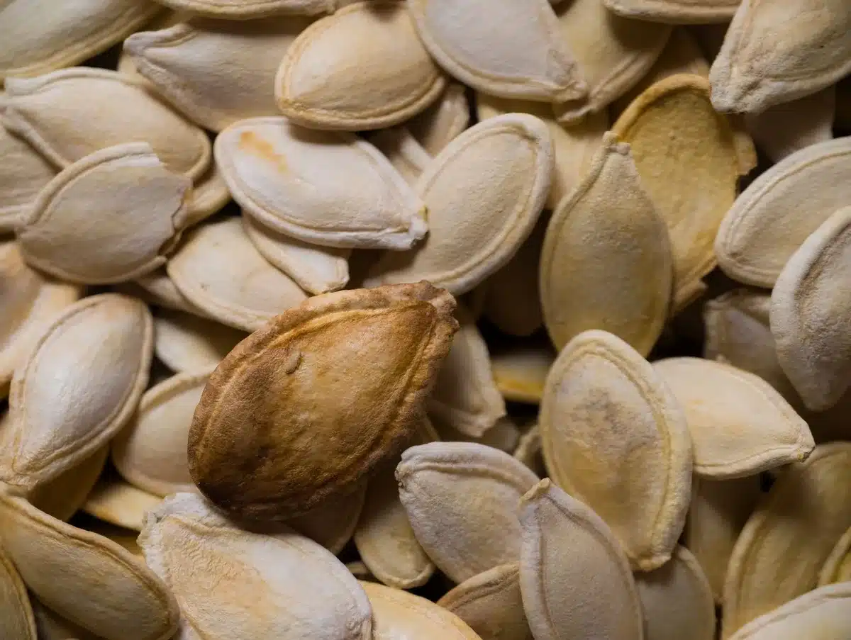 Graines de courge en gros plan montrant leur texture et densit&eacute; nutritionnelle