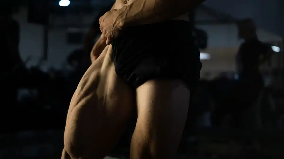 Illustration de la musculature des cuisses et du r&ocirc;le dans l'absorption du glucose