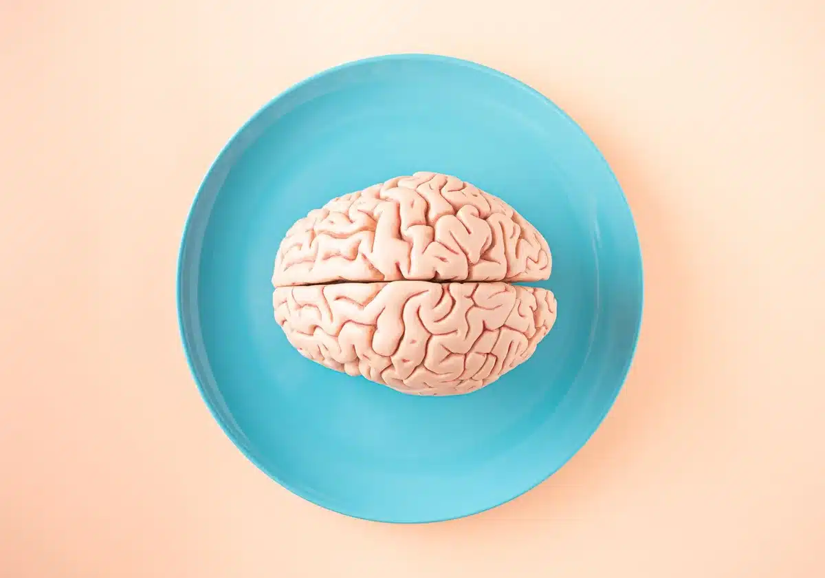 Illustration des circuits nerveux et des voies de transmission de la douleur dans le cerveau