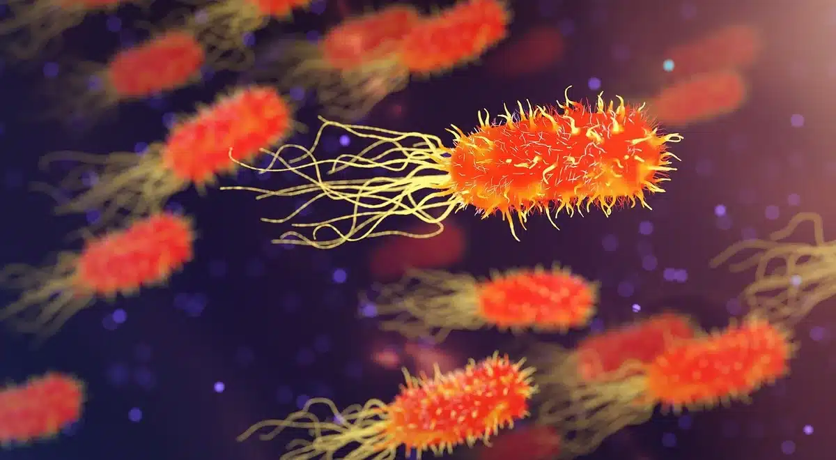 Illustration m&eacute;dicale montrant les m&eacute;canismes d'inflammation et d'infection nasale