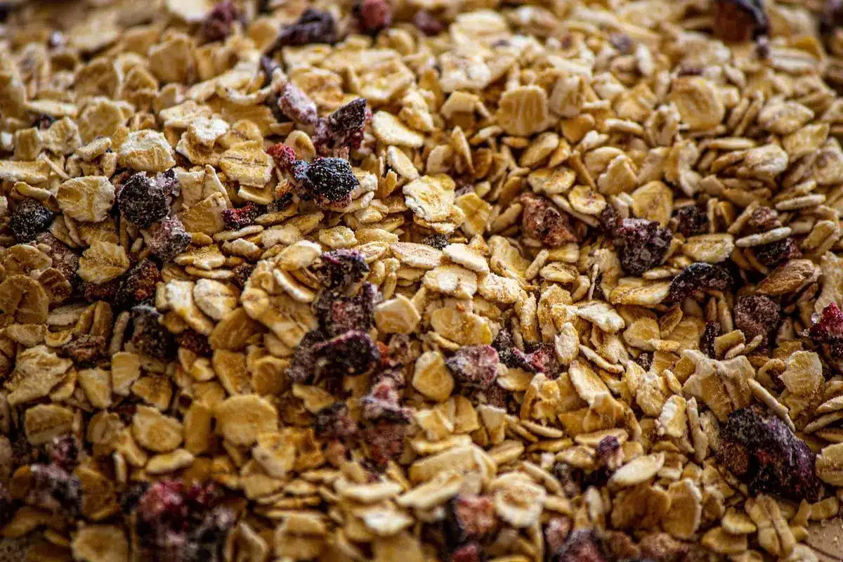 Bol de flocons d'avoine avec fruits et graines pour un petit‑déjeuner riche en fibres