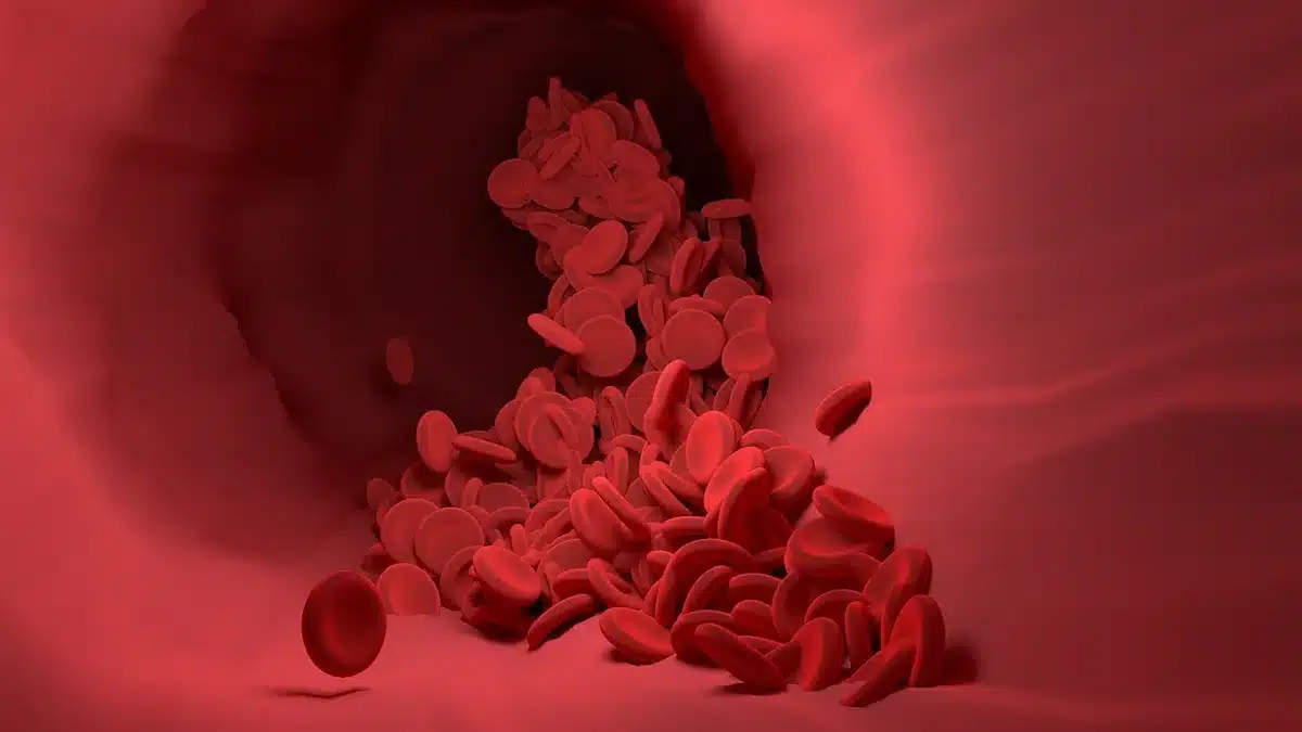 Illustration du flux sanguin entre le fœtus et le placenta via le cordon ombilical