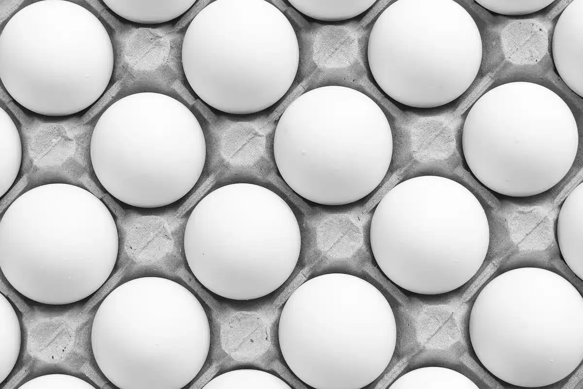 Aliments riches en tyrosine : &oelig;ufs, produits laitiers, viande maigre et l&eacute;gumineuses sur une table