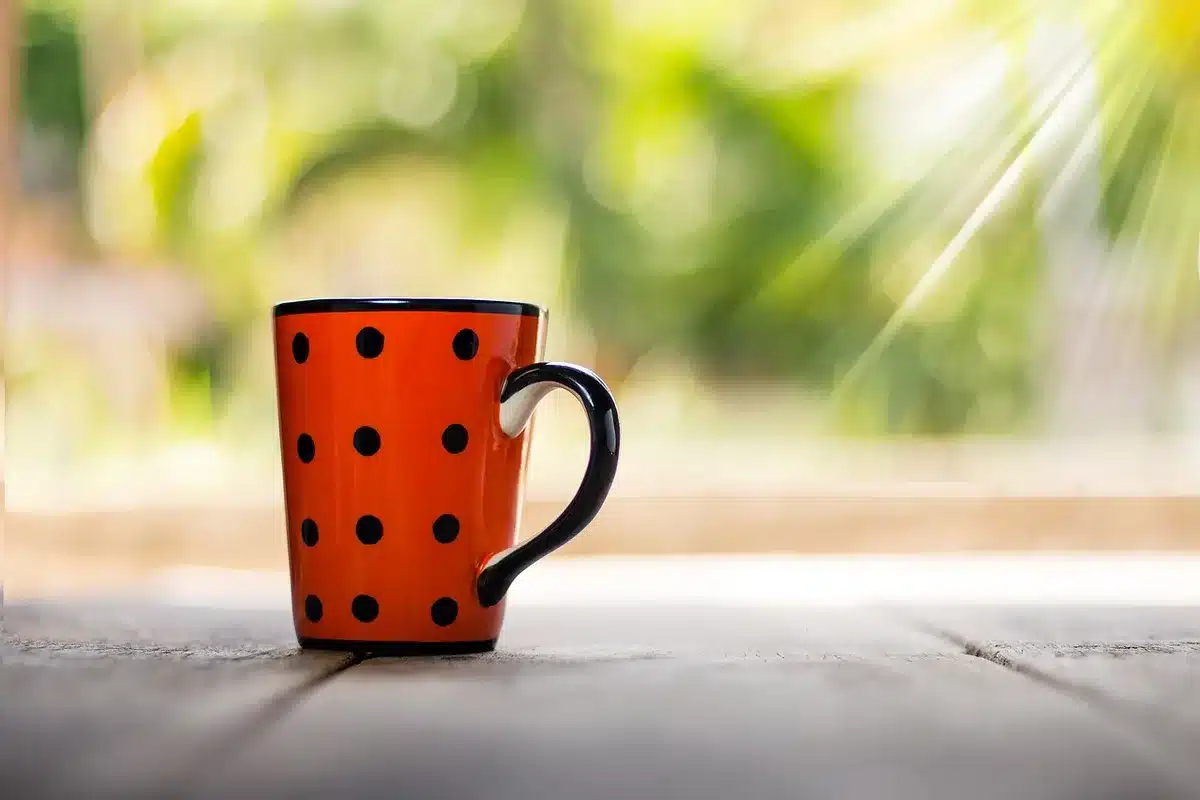 Carnet de bien-être et tasse sur un rebord de fenêtre en pleine journée