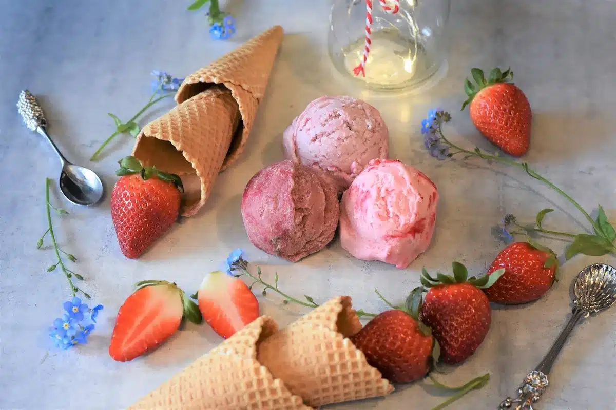 Mixeur préparant frozen yogurt avec fruits congelés et yaourt