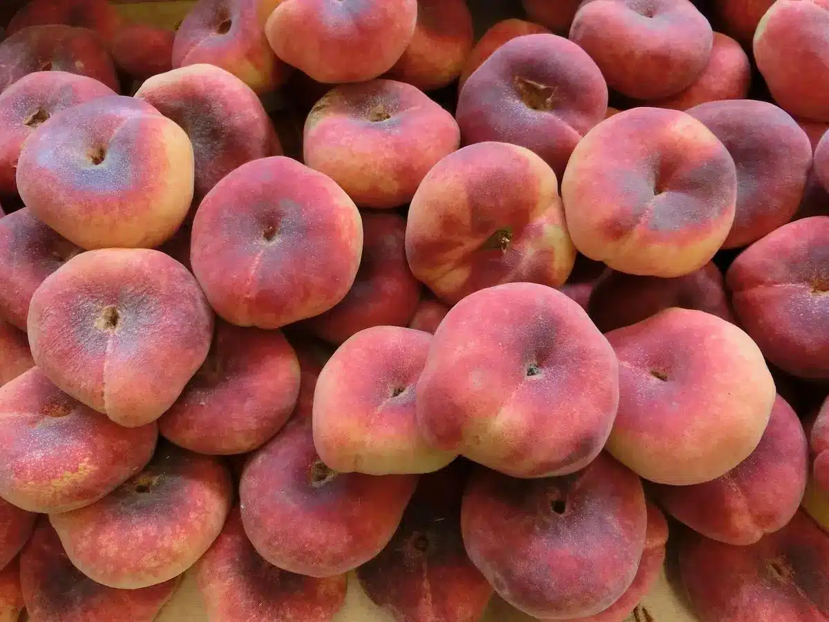 Pêche entière et tranches montrant la chair juteuse riche en vitamine C