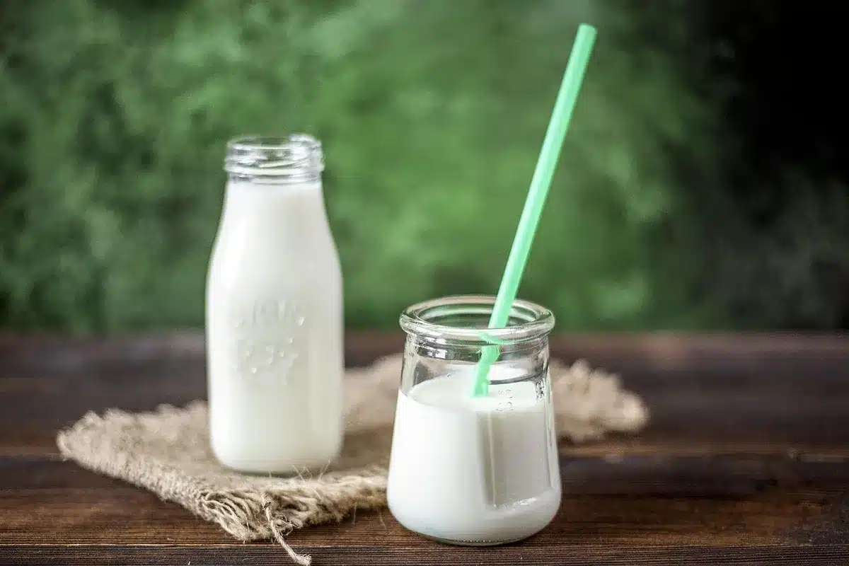 Bouteilles et cartons de boissons végétales variées sur un comptoir