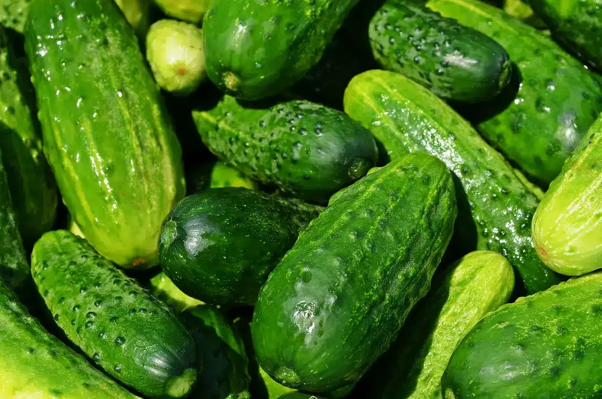 Fruits, légumes et céréales complètes étalés sur une table