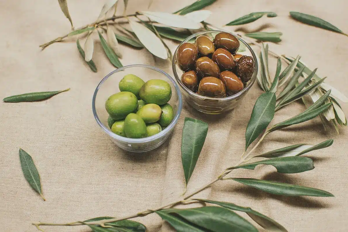 Poisson gras accompagné d'huile d'olive et d'oléagineux pour des lipides de qualité