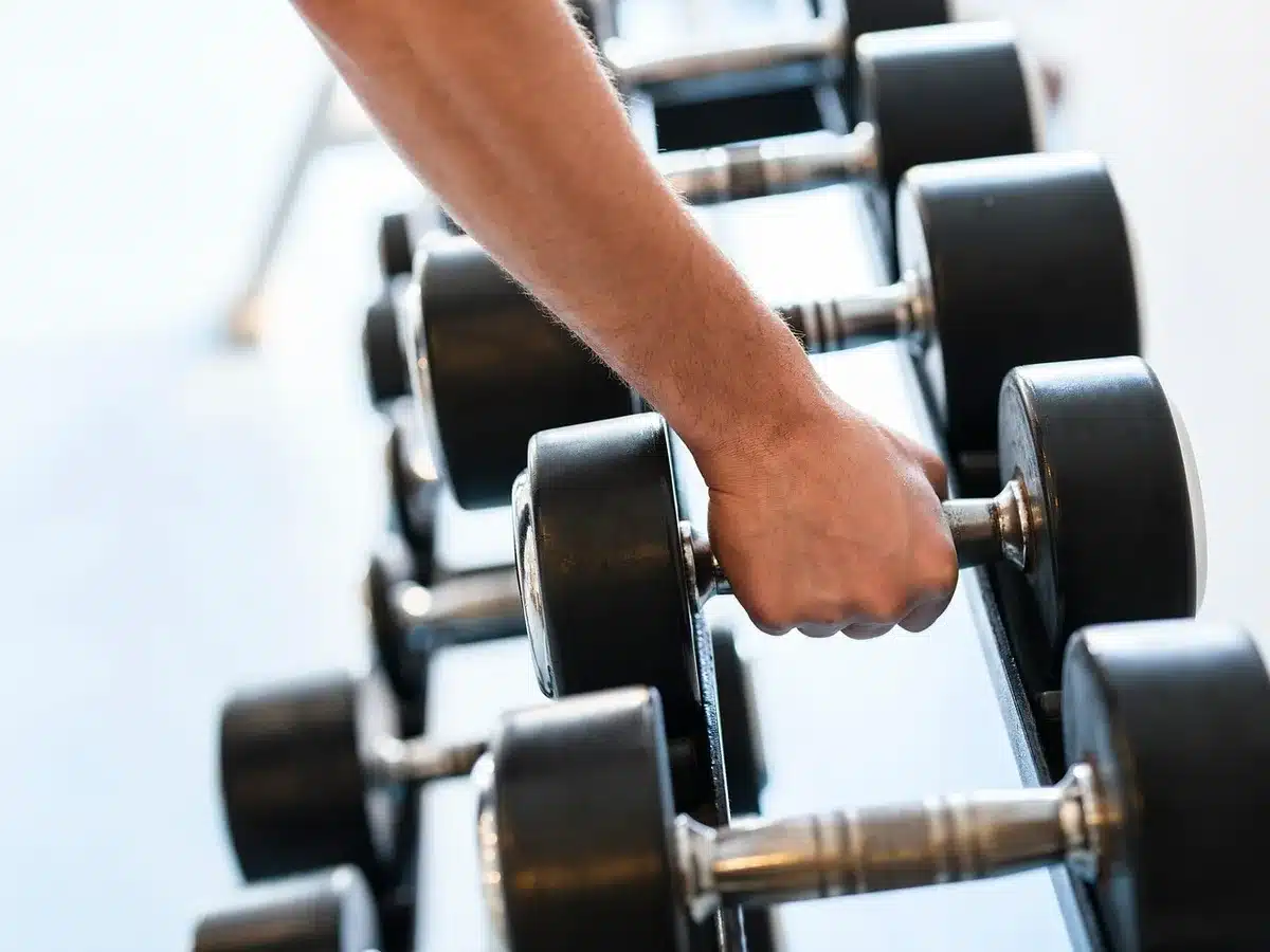 Schéma illustrant l'intestin et les muscles abdominaux profonds
