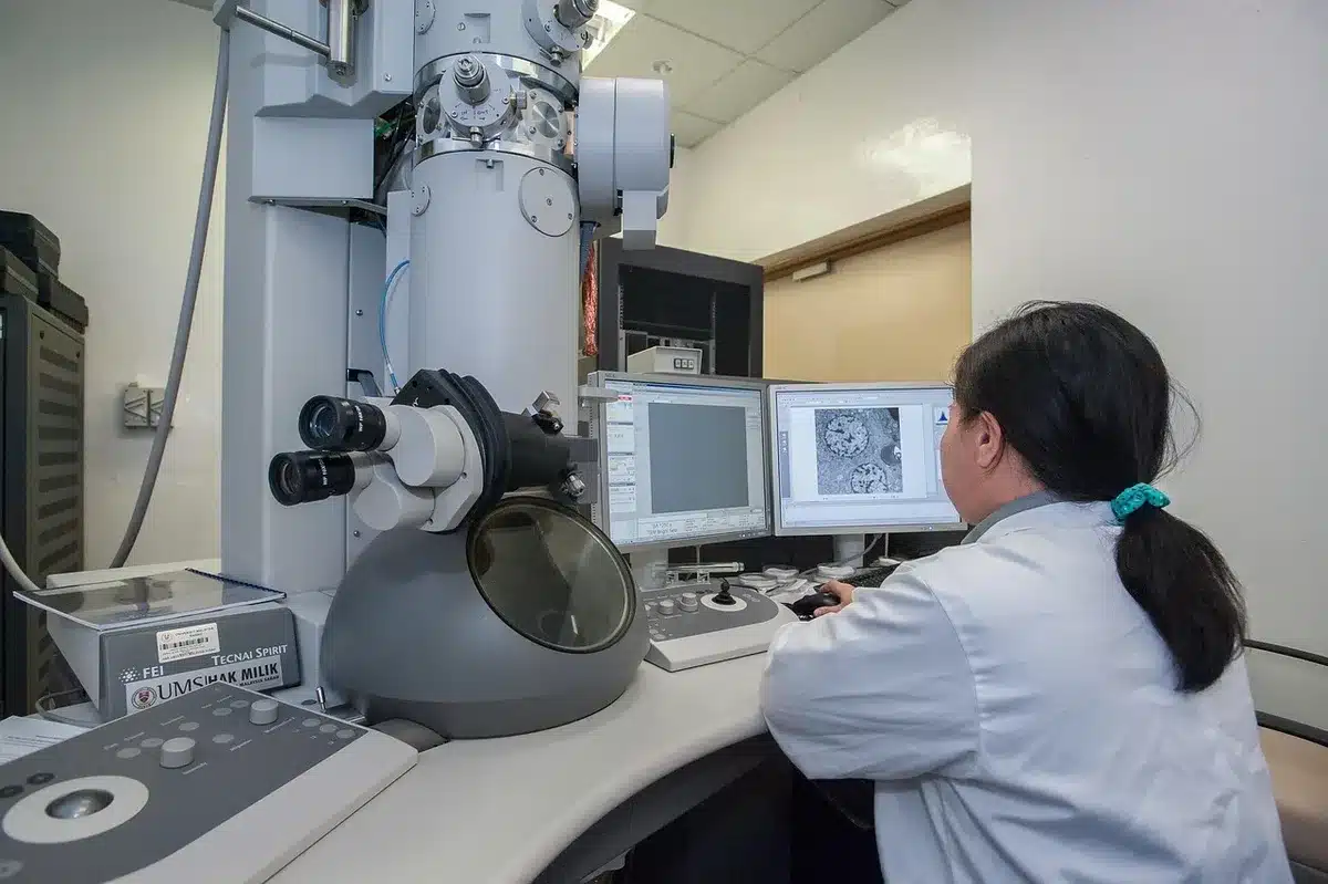 Modèle pédagogique du pancréas utilisé pour expliquer la réduction des cellules bêta