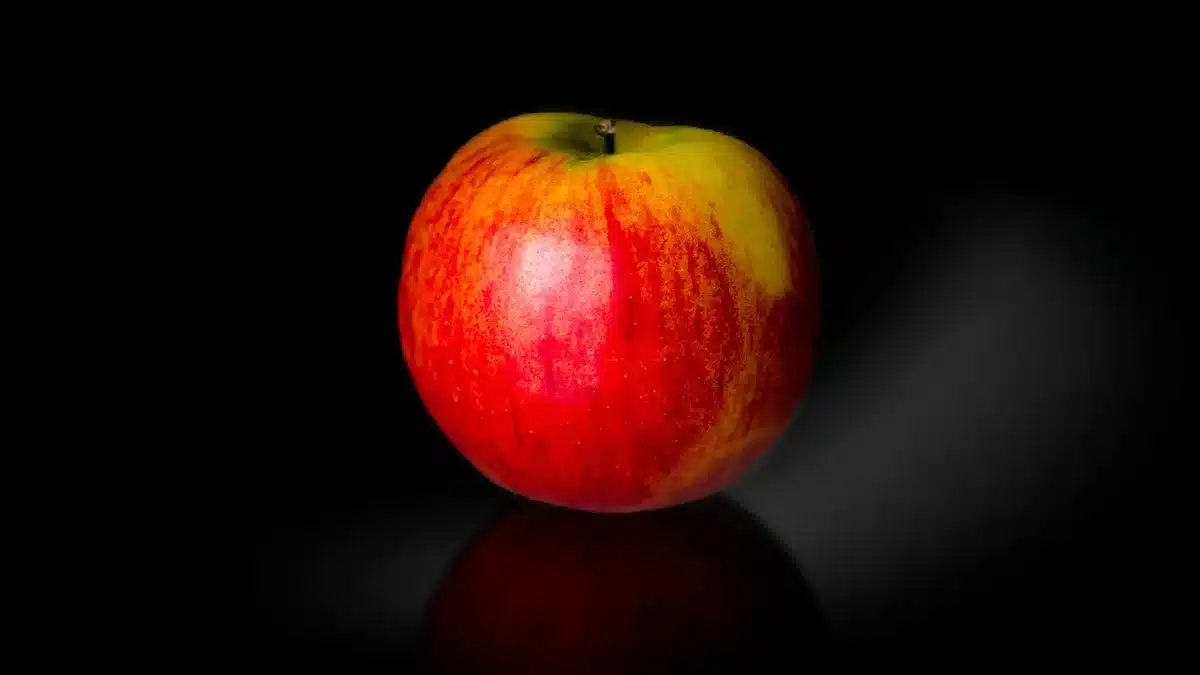 Assortiment d'aliments riches en nutriments essentiels pour la grossesse