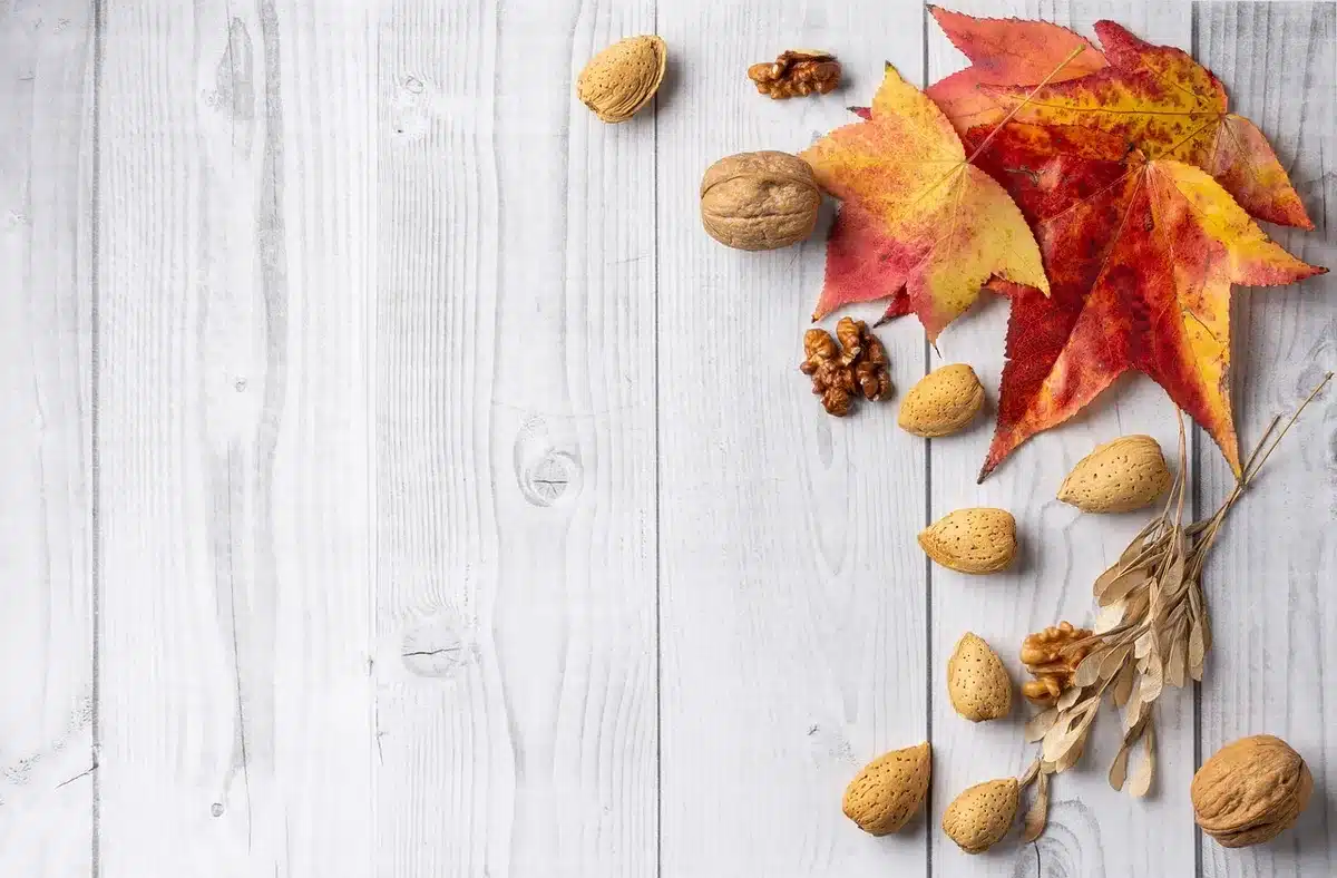 Assortiment de noix et amandes dans un bol sur une table