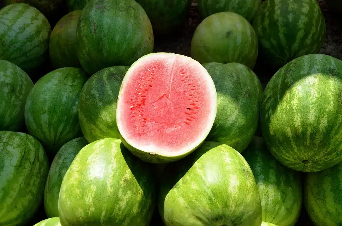 Tranches de pastèque et melon dans un bol