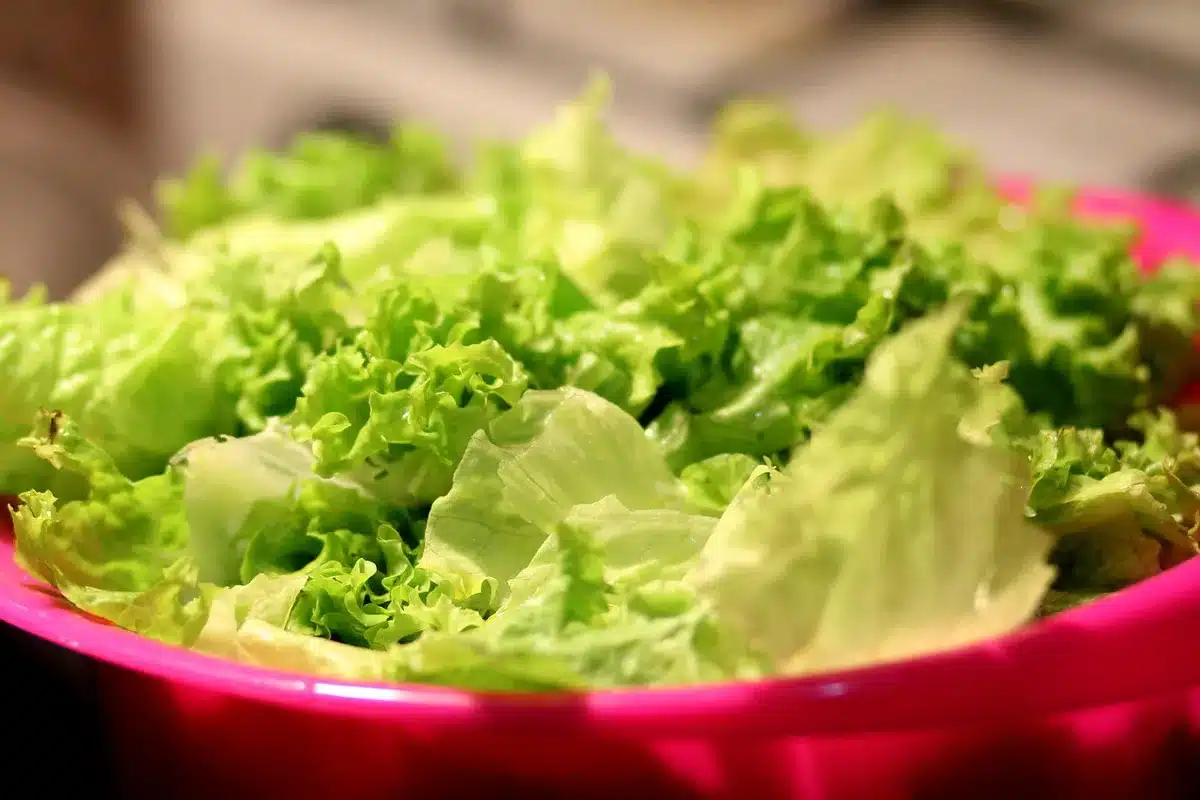 Bol de quinoa cuit égoutté prêt à être mélangé